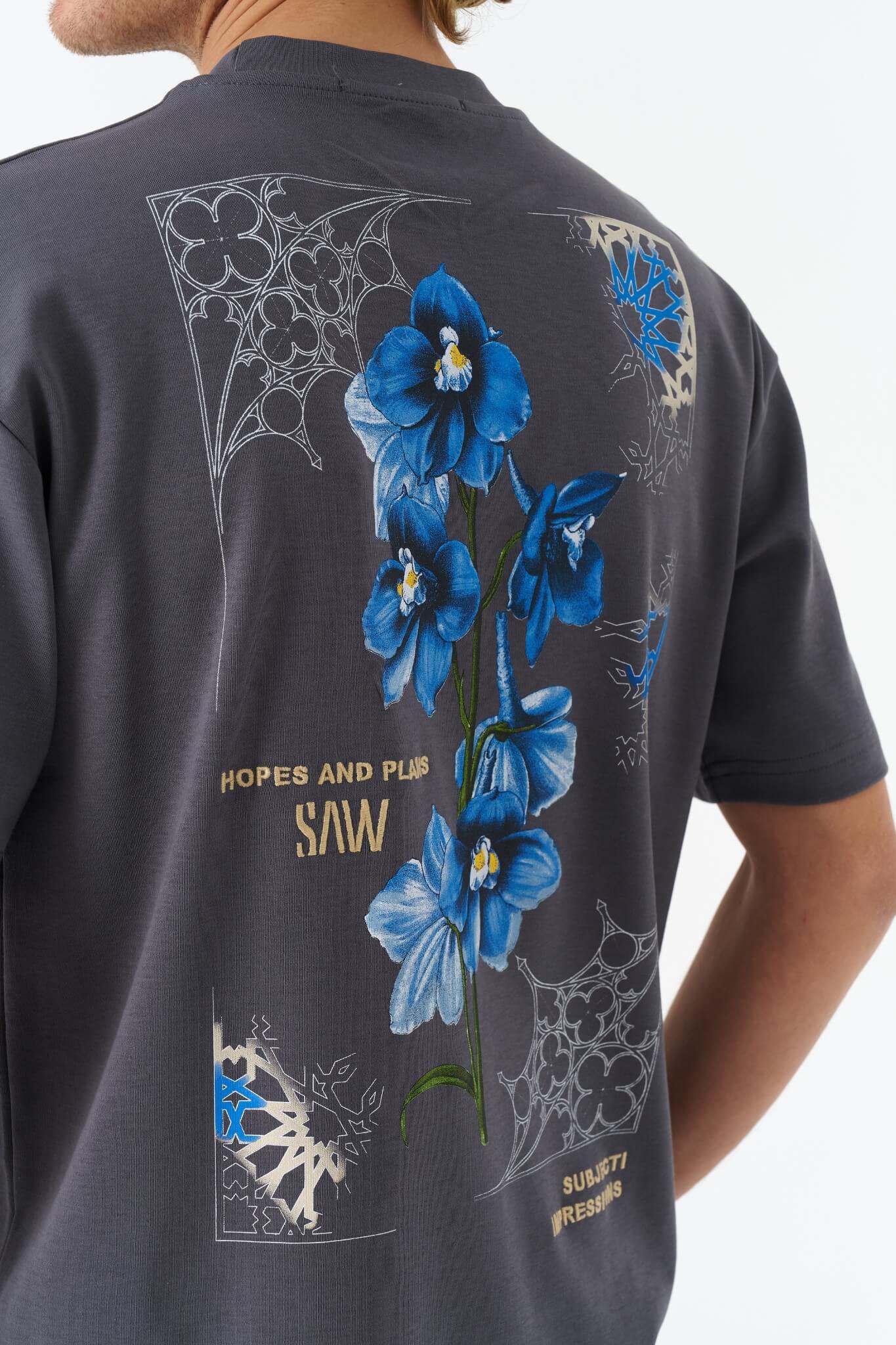 HOPES AND PLANS - GREY